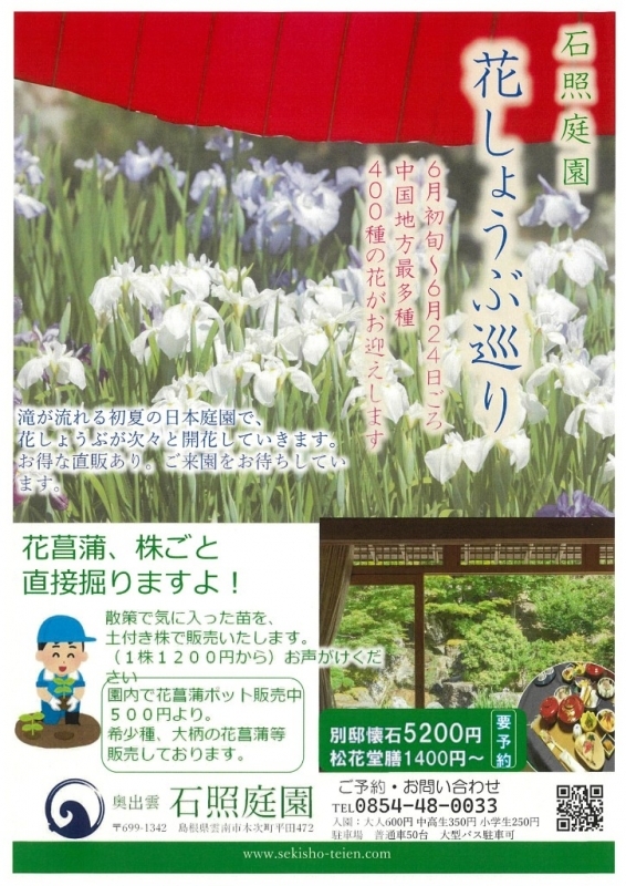 【石照庭園】花しょうぶ　