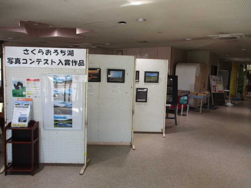 写真コンテスト