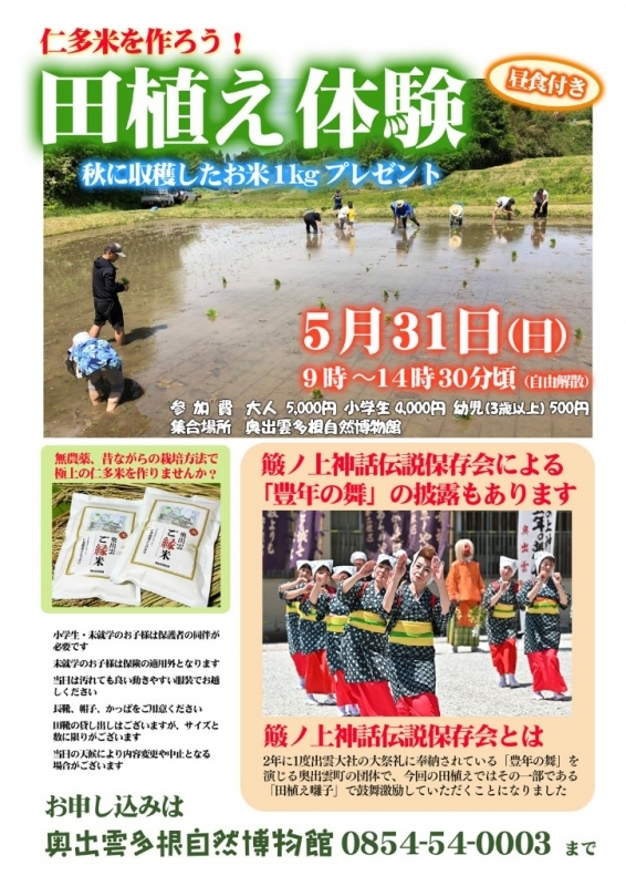 田植え体験