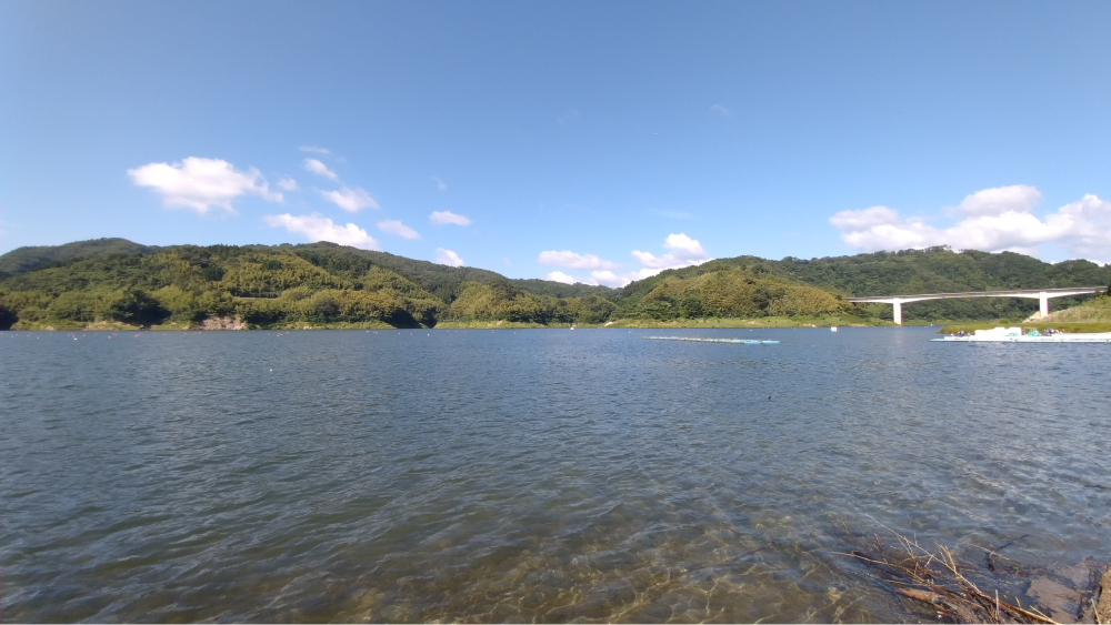 高校