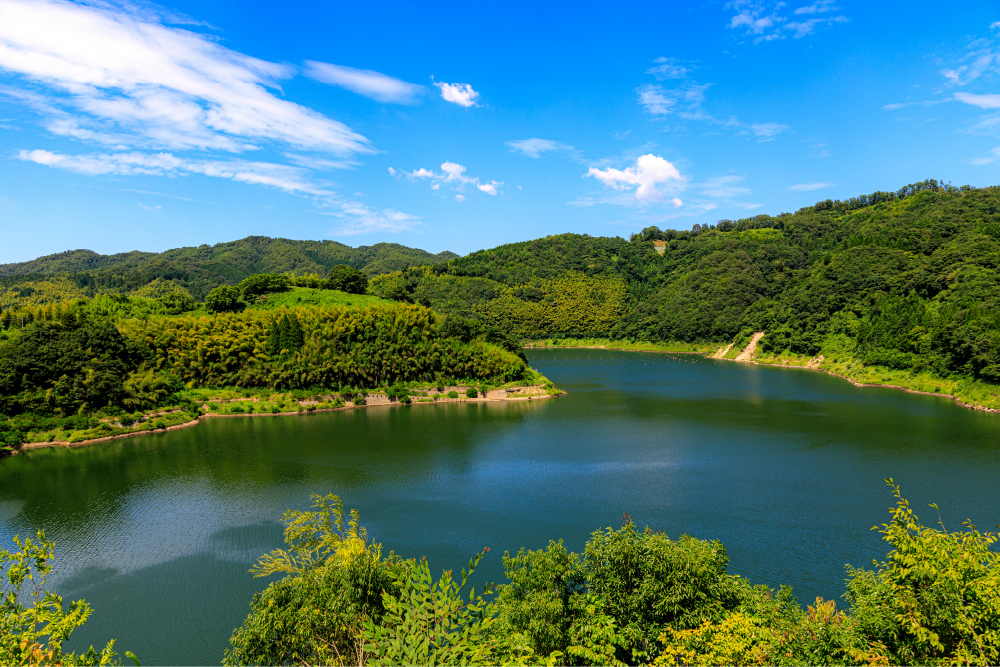 夏のさくらおろち湖