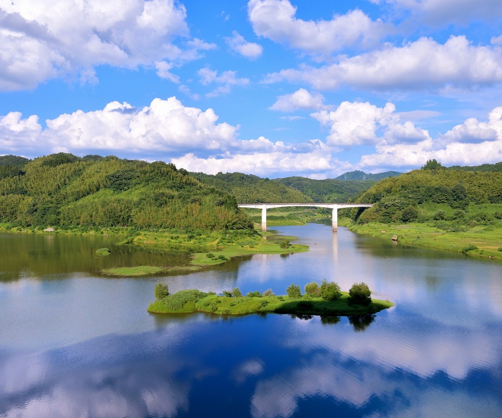 夏模様