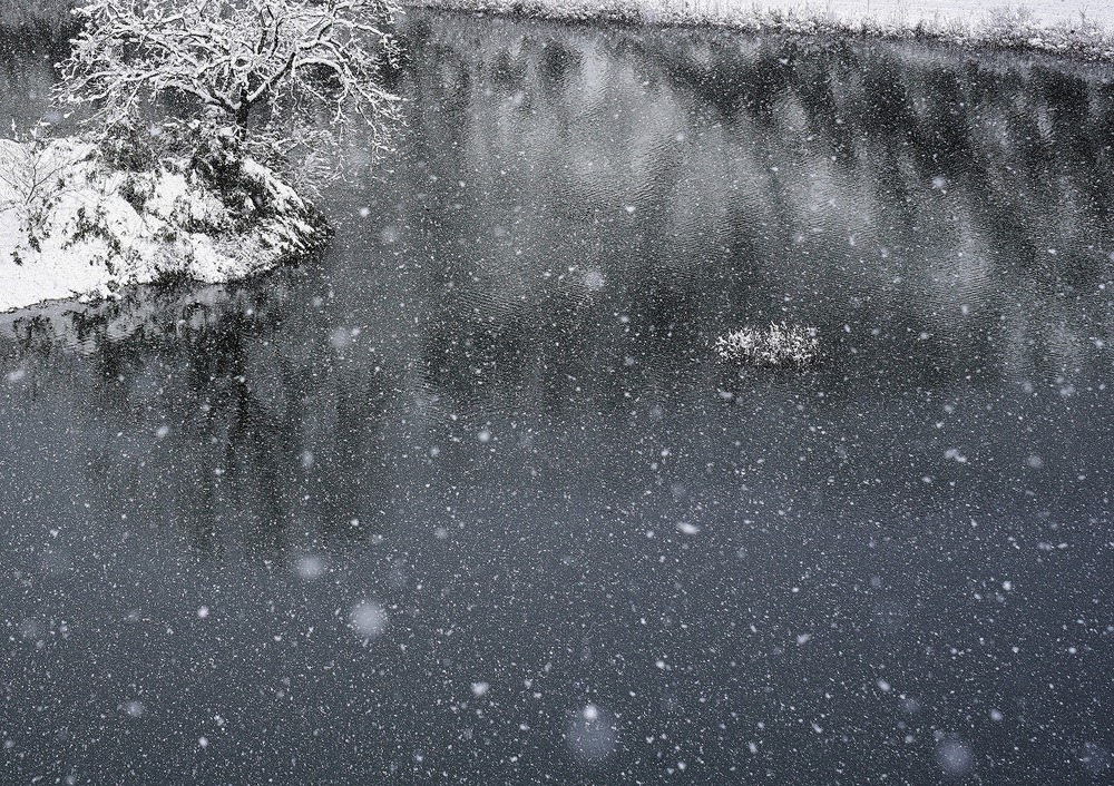 春の雪