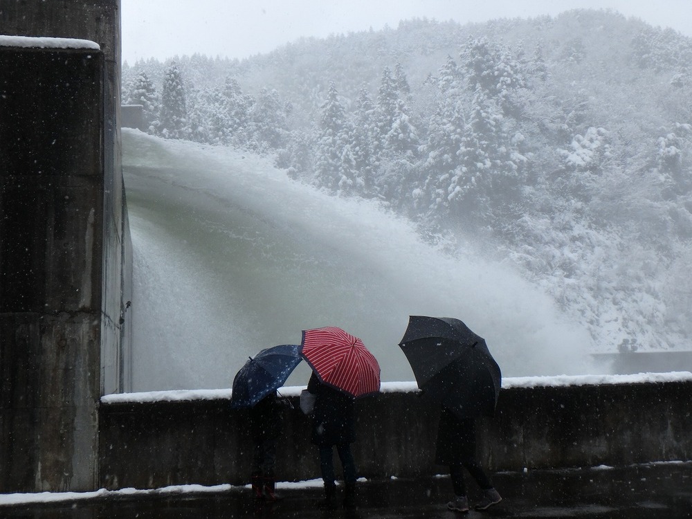 雪の日