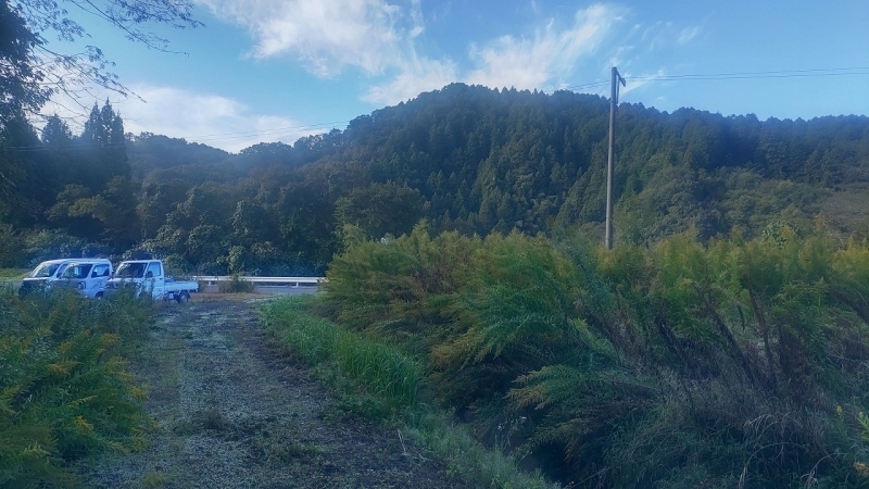 草刈り作業