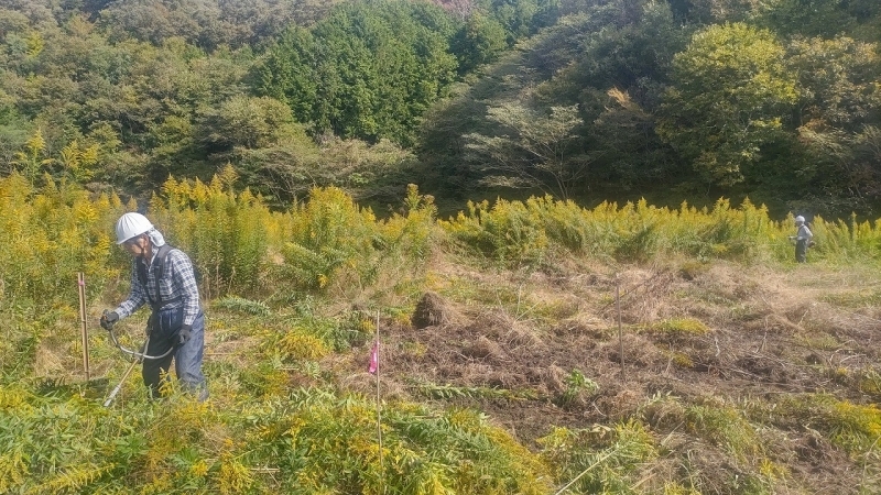 草刈り作業