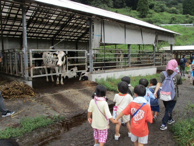 光幼保園の皆さん